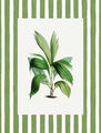 Image Not Available